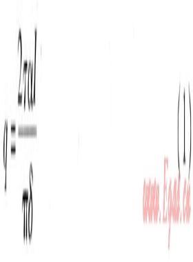 真空管太陽能集熱系統(tǒng)溫度場、速度場模擬