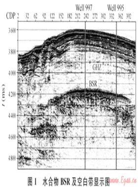 天然氣水合物勘查識別與實(shí)驗(yàn)技術(shù)