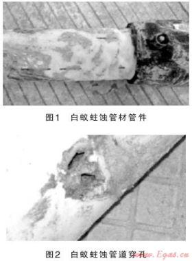 關(guān)于佛山市南海區(qū)燃?xì)夤艿腊踩珕栴}的探討